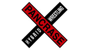 Pancrace Vincennes MMA